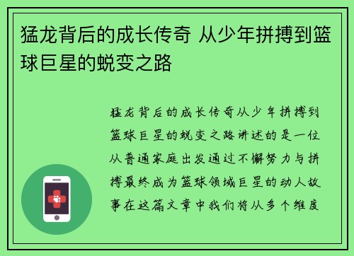猛龙背后的成长传奇 从少年拼搏到篮球巨星的蜕变之路